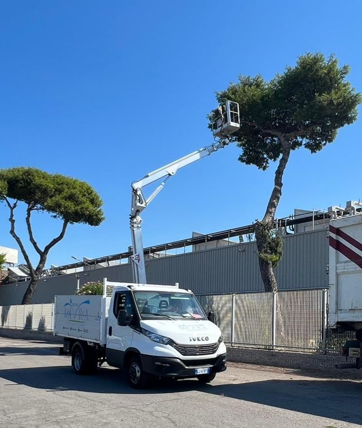 gestione e cura del verde