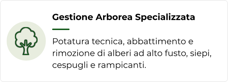 gestione e cura del verde - Gestione Arborea Specializzata