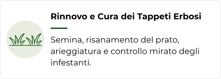gestione e cura del verde - Rinnovo e Cura dei Tappeti Erbosi